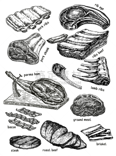 牛排,肉,生食,动物手,菜单,清新,食品,绘制,画画,烹调