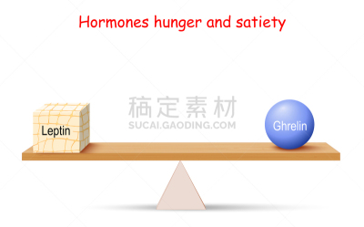 平衡,饥饿的,荷尔蒙,贪欲,有序,健康保健,化学,新陈代谢,药,食品