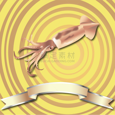 鱿鱼寿司,背景,自然,菜单,海产,清新,食品,黑板,写实