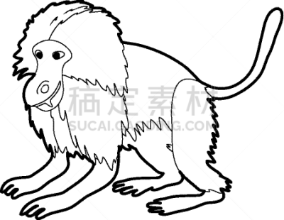 猴子,轮廓,狮尾狒狒,计算机图标,分离着色,可爱的,自然,动物园,热带雨林,野生动物
