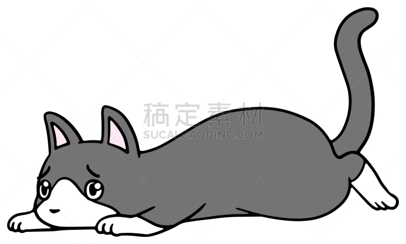 矢量,绘画插图,猫,惊骇,恐怖,简单,动物,宠物商店