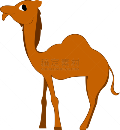 巨大的,骆驼,彩色图片,动物眼睛,可爱的,非洲,野生动物,图像,驼峰,哺乳纲