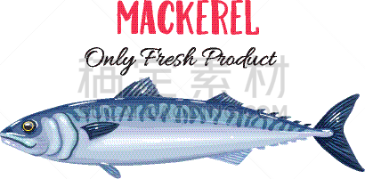 青花鱼 青花鱼图片 青花鱼素材下载 稿定素材