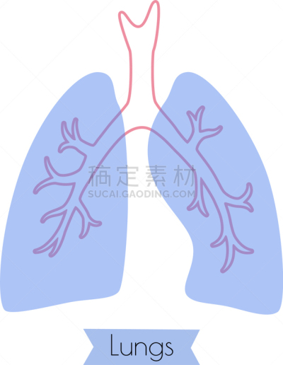 分离着色,人类肺脏,生物学,呼吸运动,健康保健,人,图表,概念,生病