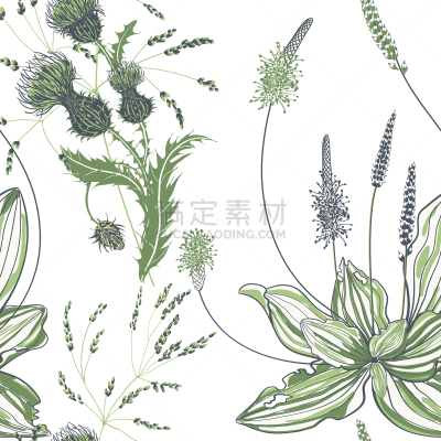四方连续纹样,芭蕉,奶蓟草,叶子,白色背景,饮料,健康保健,背景分离,药,营养品