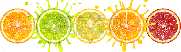banner with citrus fruits