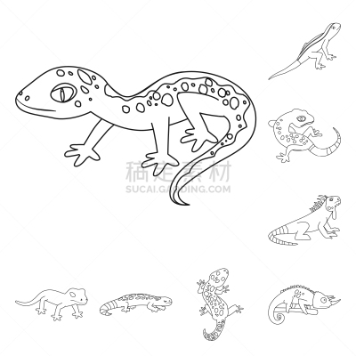 自然,野生动物,品牌名称,明亮,轮廓,灰色,绿色,可爱的,动物学,收集