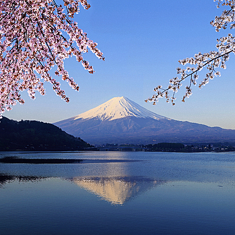 徕卡