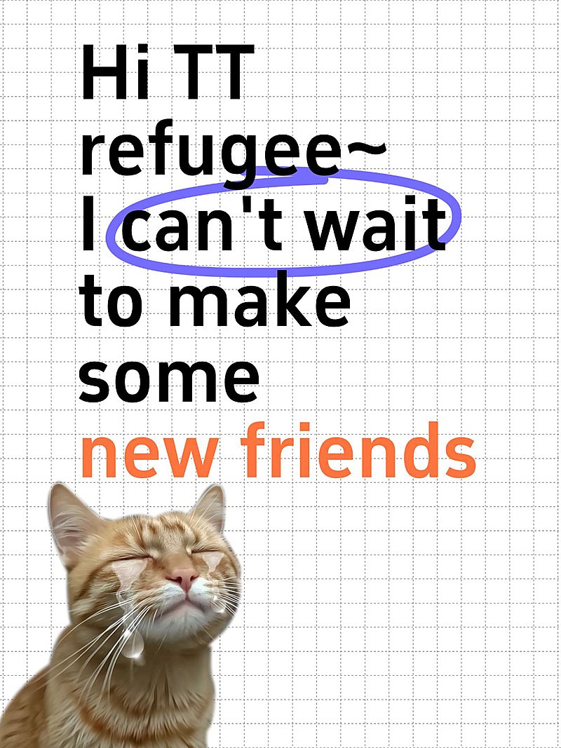 爆款表情包MEME梗图小红书封面aigc