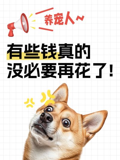 爆款吸睛大字表情包梗图小红书封面aigc