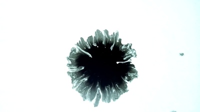 一滴黑墨水。白色背景上的墨水飞溅。在白纸背景上扩展的黑色飞溅。水平高清视频
