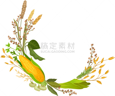 一半的,人的耳朵,农业,华丽的,蔬菜,谷物,熟的,豌豆,构图