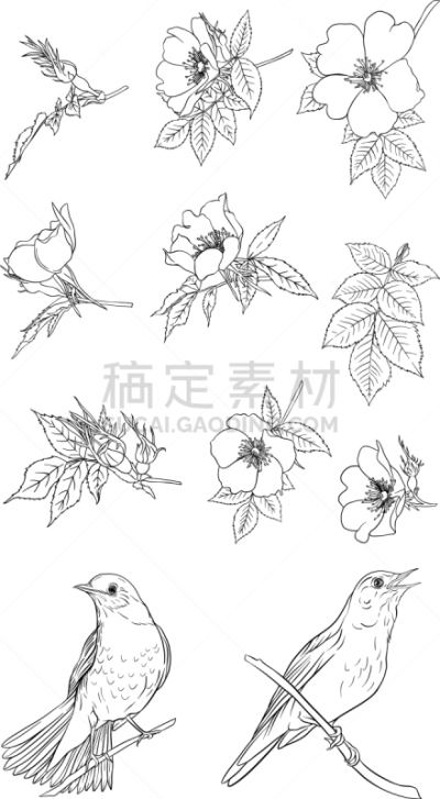 安静,夜莺,浪漫,自然美,春天,装饰物,鸟类,布置,爱,复古