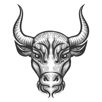 公牛,雕刻图像,动物头,分离着色,白色,自然,肉,图像,哺乳纲,复古