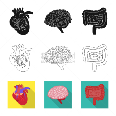 生物学,科学,分离着色,人造物,品牌名称,健康保健,植物群,主动脉,空肠,思考