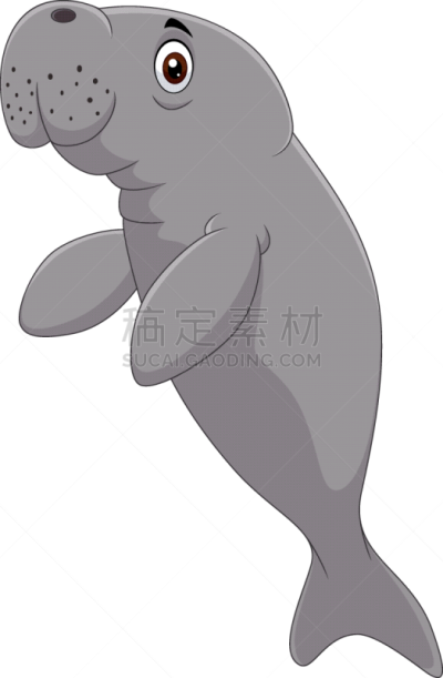 可爱的,海牛,卡通,白色背景,食草动物,濒危物种,热带气候,灰色,野生动物,哺乳纲