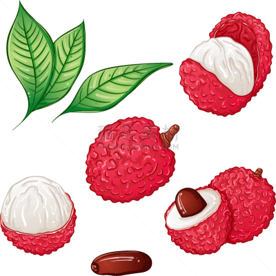 荔枝,彩色图片,菜单,清新,自然界的状态,背景分离,食品,成分,甜点心,手