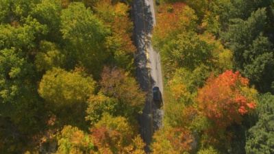 空中 SUV汽车在树叶上窥视公路旅行，驾车穿过五颜六色的秋天森林