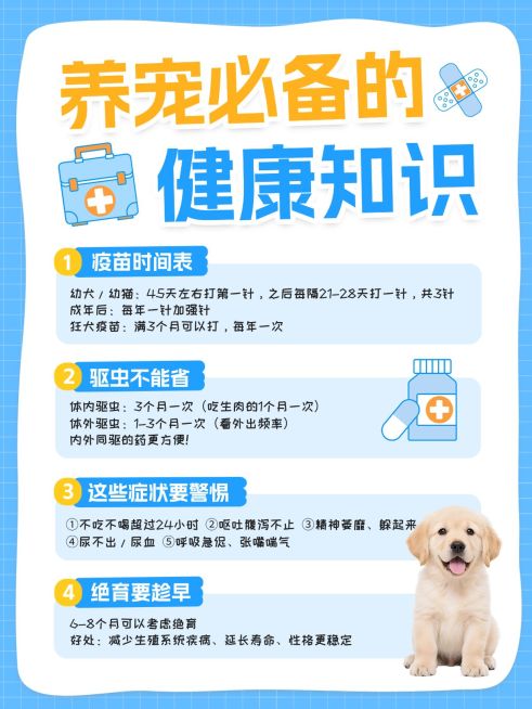 养宠必备健康知识科普小红书配图预览效果
