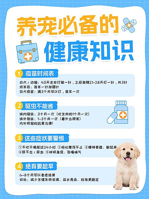 养宠必备健康知识科普小红书配图