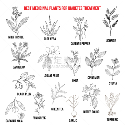 糖尿病,草本,香料,秋葵,胰岛素,健康保健,植物学,自然,打斗,收集