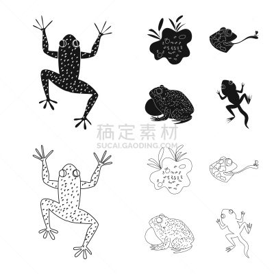 野生动物,藓沼,符号,生物学,有毒物质,环境,青蛙,动物,牛蛙,设计