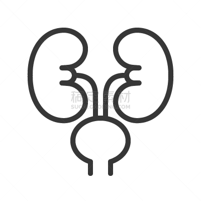 膀胱,家庭,线图标,肾脏,轮廓,矢量,健康保健,泌尿系统