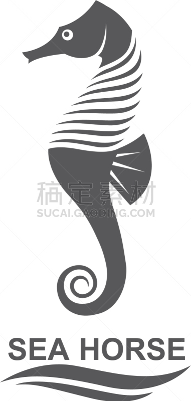 海马,分离着色,生物学,自然,海产,海洋,船,动物,装饰
