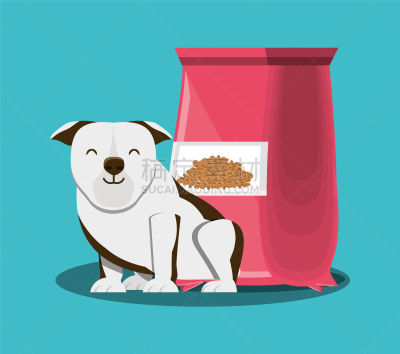 可爱的,狗,式样,宠物,自然,纯种犬,机敏,肖像,图像,哺乳纲