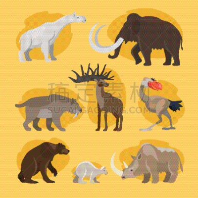 史前时代,动物,动画片,可爱的,马刀,图像,已灭绝生物,巨大的,收集,教育