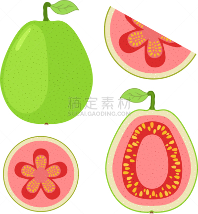 切片食物,完整,卡通,番石榴,热带水果,平坦的,清新,食品,维生素,果汁