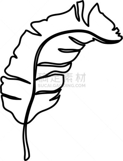 鸡尾酒,棕榈叶,热带气候,创造力,自然,华丽的,高雅,摆拍,图像,自然美