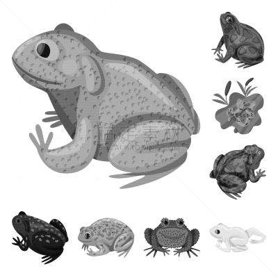 自然,野生植物,标志,生物学,灰色,野生动物,环境,青蛙,收集,设计
