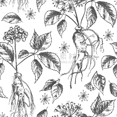 草图,墨水,植物学,四方连续纹样,传统,健康保健,药,滴瓶,植物群,写实