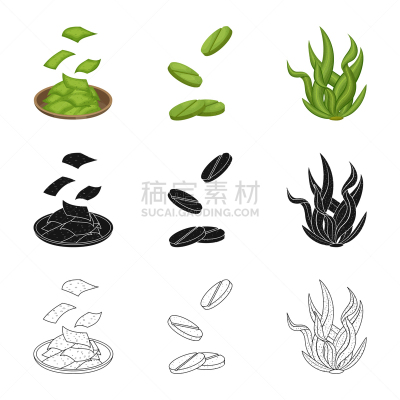 海洋,蛋白质,图标集,蔬菜,素食,健康保健,食品,营养品,维生素,设计