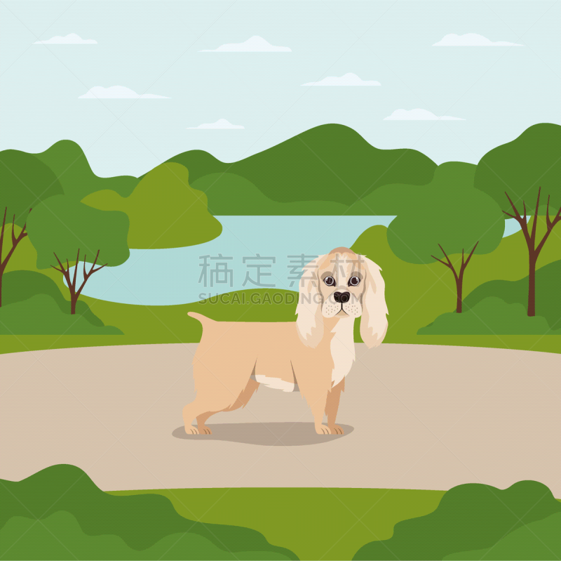 可爱的,狗,宠物,纯种犬,公园,自然美,小的,露营,爱