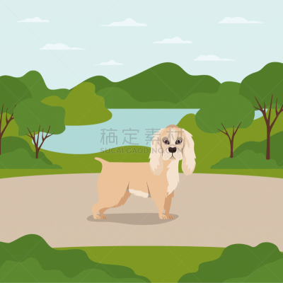 可爱的,狗,宠物,纯种犬,公园,自然美,小的,露营,爱