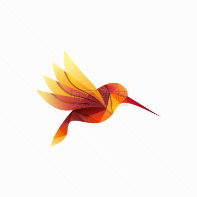 modern colorful hummingbird logo