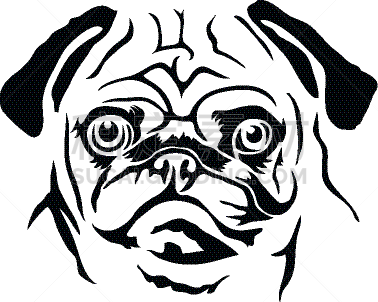 巴哥犬,矢量,犬科的,肖像,图像,狗,模板
