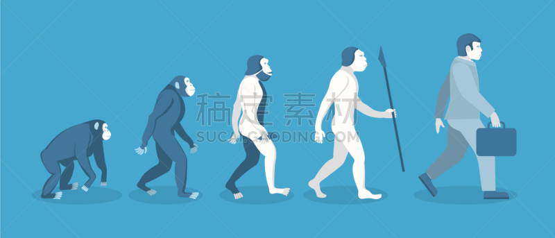 猴子,舞台,白色,商务,人,男商人,男人,概念,人属,进化