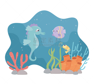 在下面,鱼类,虾,生活方式,海马,海洋,礁石