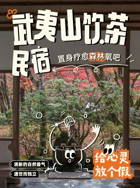 旅游武夷山林间民宿涂鸦风攻略小红书封面预览效果