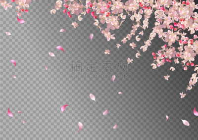 春天,花朵,背景,华丽的,浪漫,风,樱桃,传统节日,吹,花