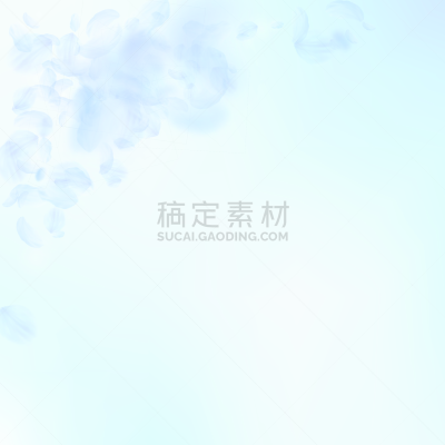 花瓣,浅蓝色,罗马,非凡的,请柬,波兰,风,图像,花朵,婚礼