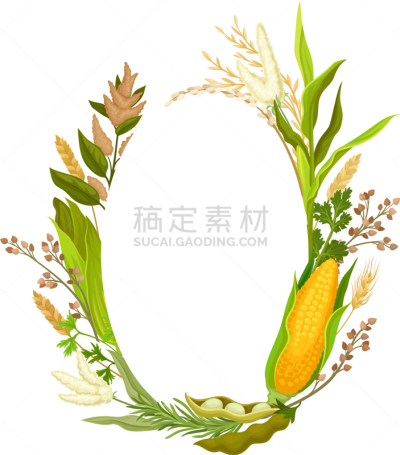 玉米,反差,人的耳朵,边框,欧弗,茎,农业,华丽的,蔬菜,谷物