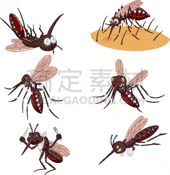 蚊子,卡通,埃及伊蚊,野生动物,残酷的,小的,动物,收集,吸,午餐