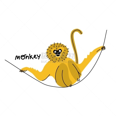 猴子,可爱的,热带气候,幽默,狮尾猴,白面狐尾猴,濒危物种,金丝猴,长鼻猴,背景分离