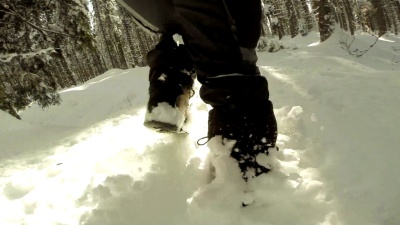 在新落雪中跋涉