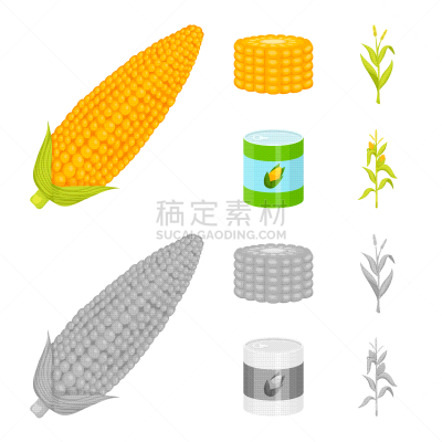 蔬菜,图标集,农业,热,食品,熟的,农场,玉米,植物,设计