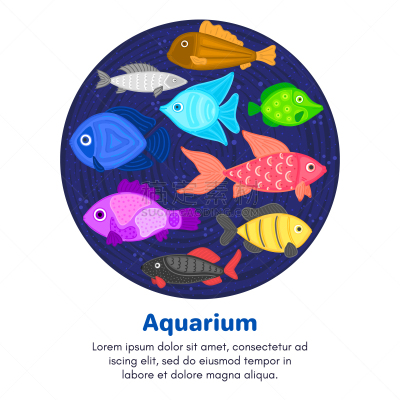 海洋生命,双鱼座,卡通,圆形,水下,鱼类,水族馆,多色的,矢量,可爱的